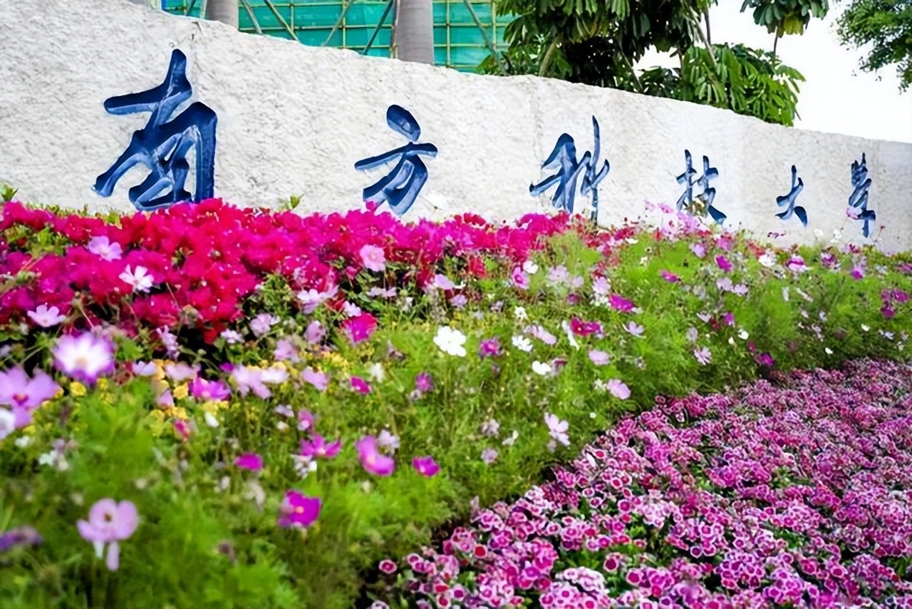 中国年轻大学十强！广东占据四席，成都大学第六，南科大实力夺冠