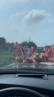 “是小蛇出了轨，还是青蛙劈了腿？”这是现实版的美杜莎？哈哈