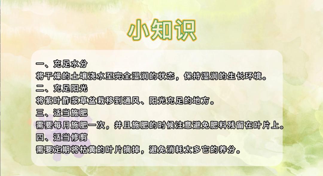 云种植宣传视频,云种果农业课堂