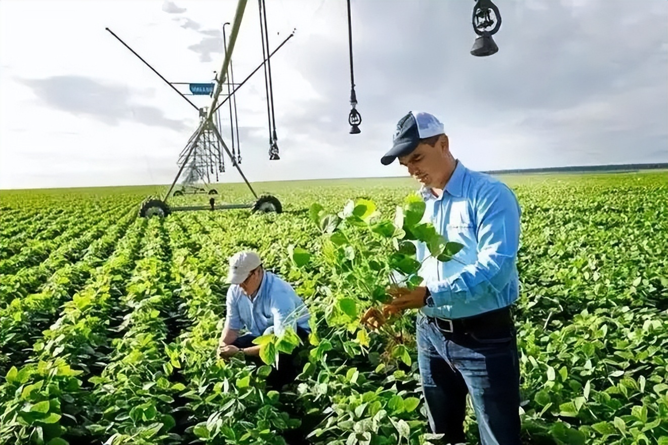 医生中最赚钱的职业,比医生赚钱的职业