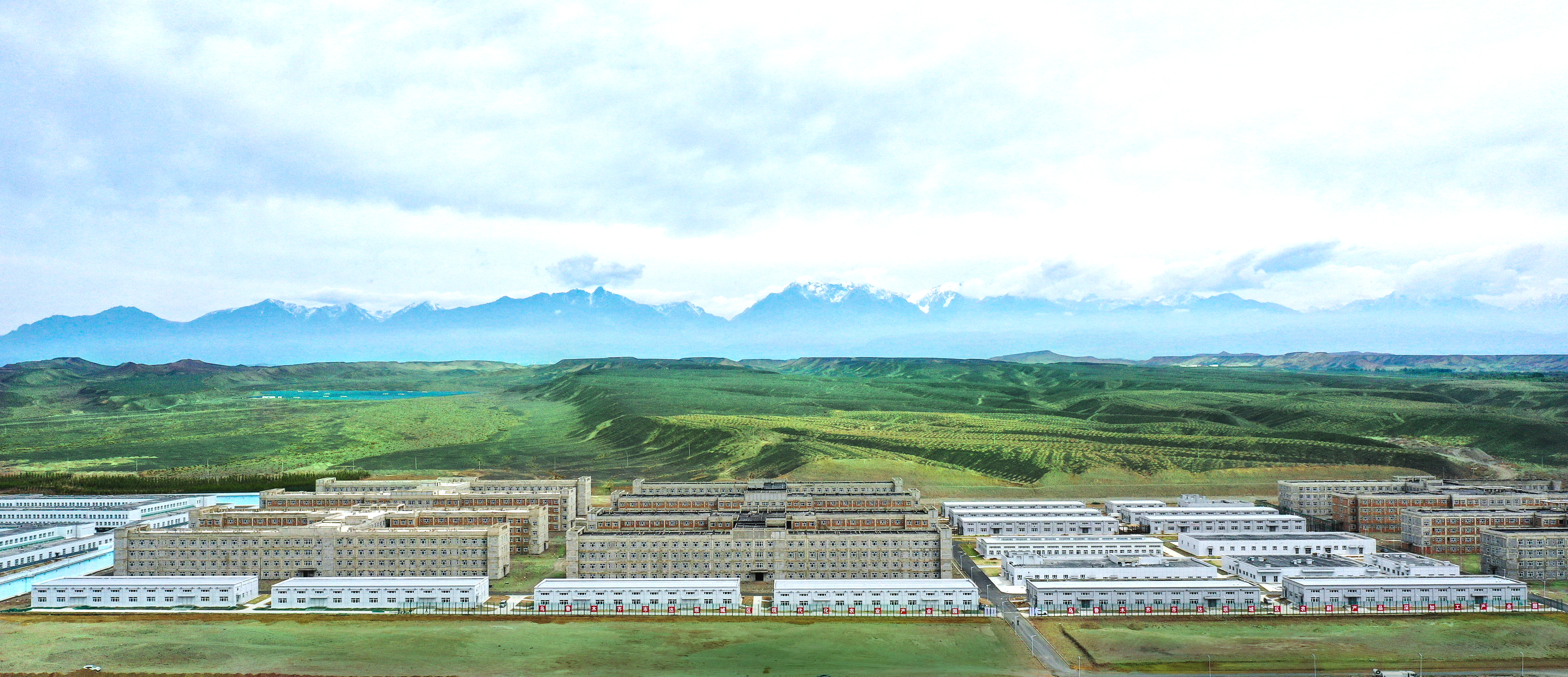 选择骆驼奶粉方法,骆驼奶粉纯的好还是配方的好