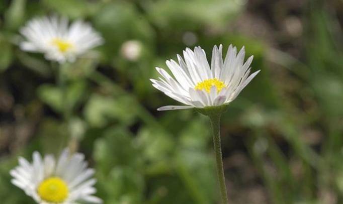 人为什么大多到中年后才会成功,中年人要学会什么才能成功