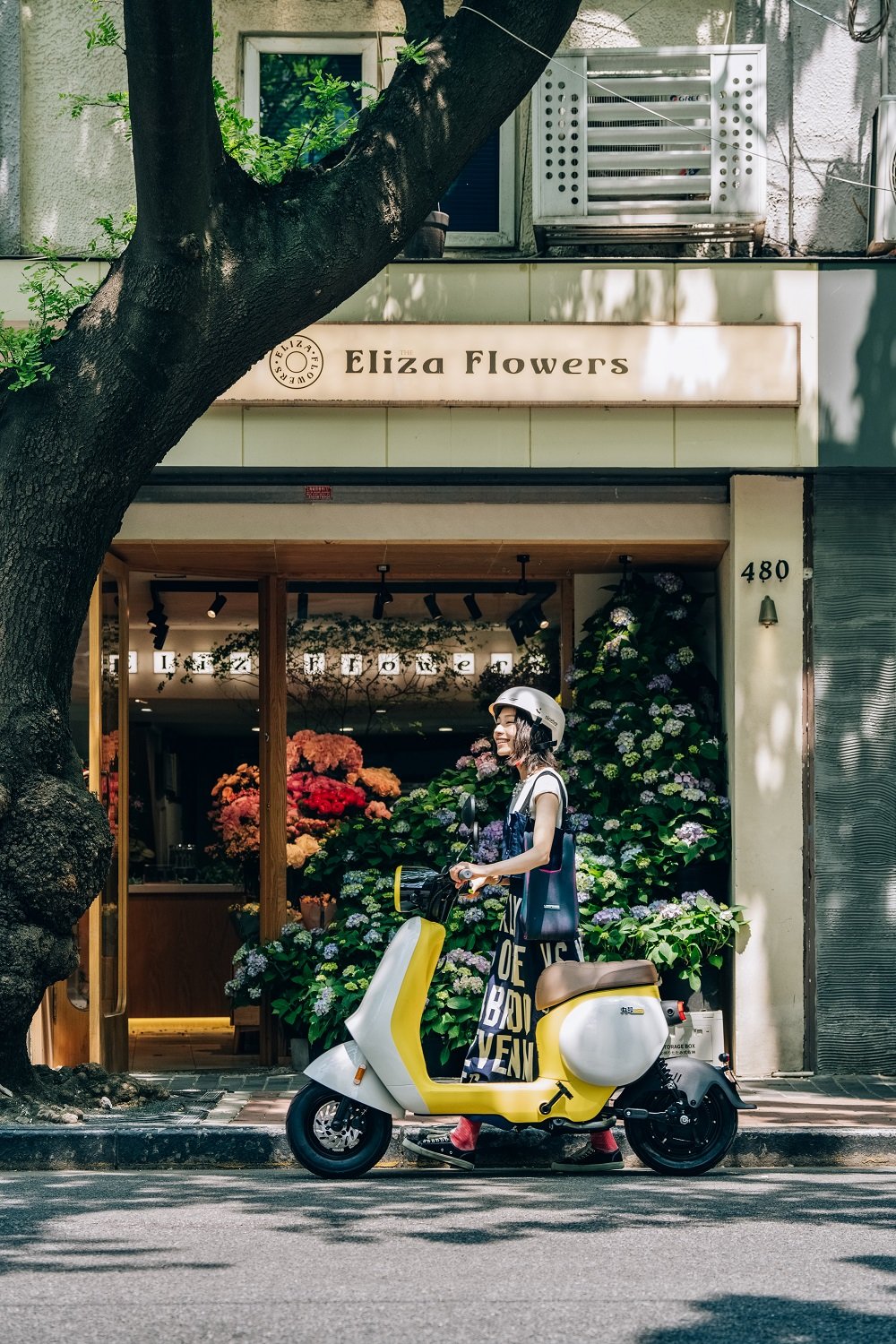 九号求真,不恋旧战