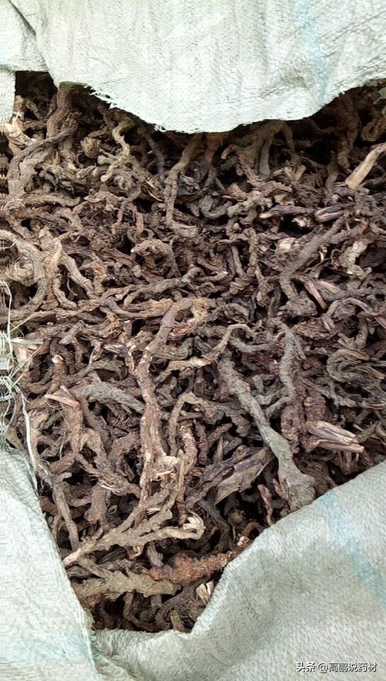 高鹏中药材最新消息,石菖蒲的市场预测