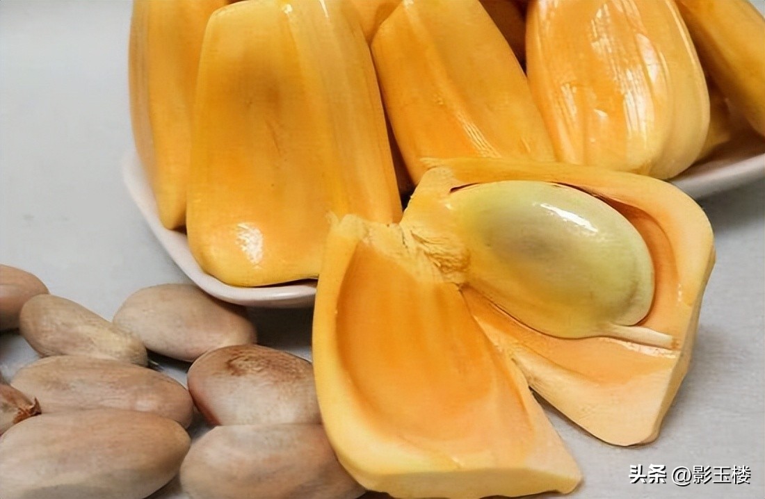 菠萝蜜种子效用,菠萝蜜种子煮熟的功效