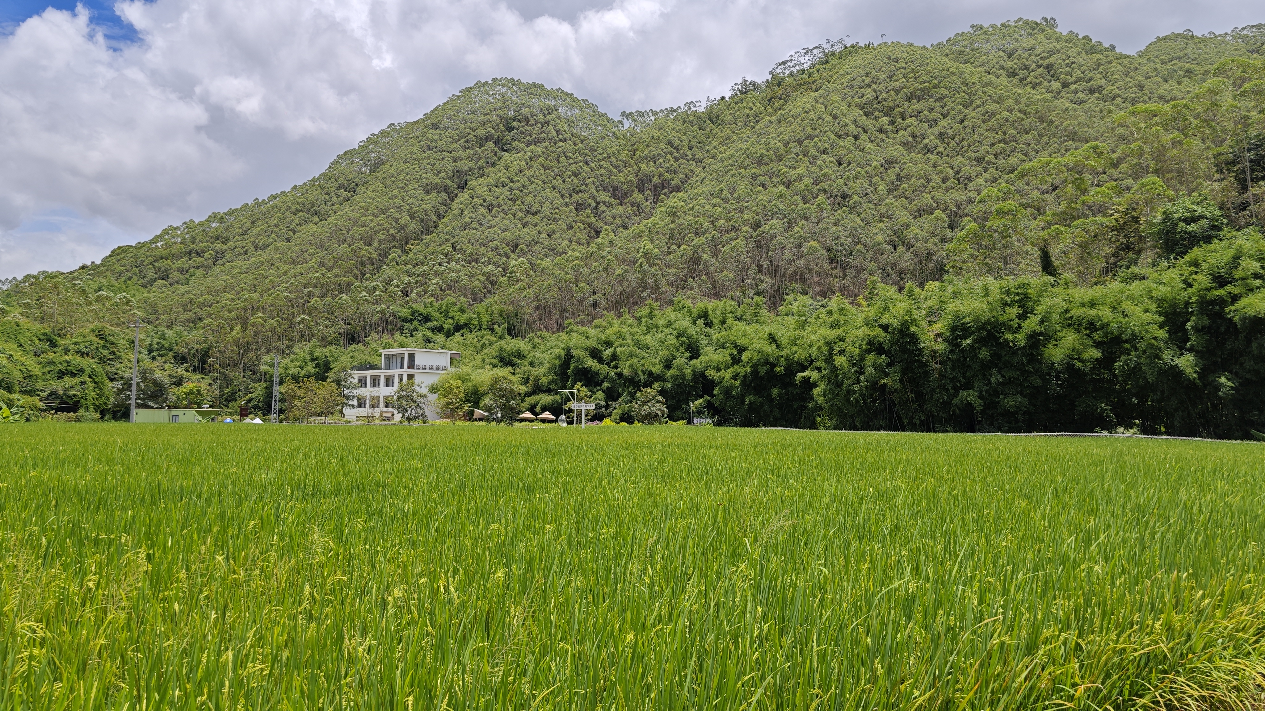罗浮山温泉品质特色民宿推荐,惠州罗浮山脉下的乡野秘境民宿