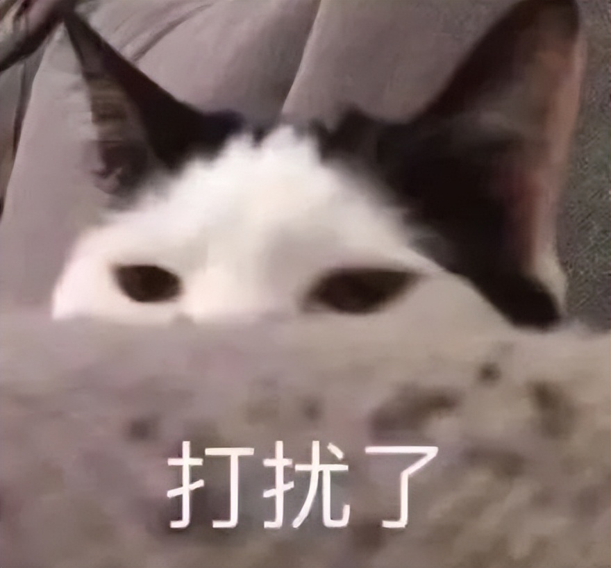 梅西百货：“苦苦挣扎”的落寞巨人