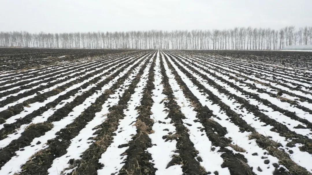 在黑河生活好吗,黑河生活真实感受