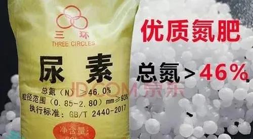 化肥主要成分,化肥养鱼高产技术