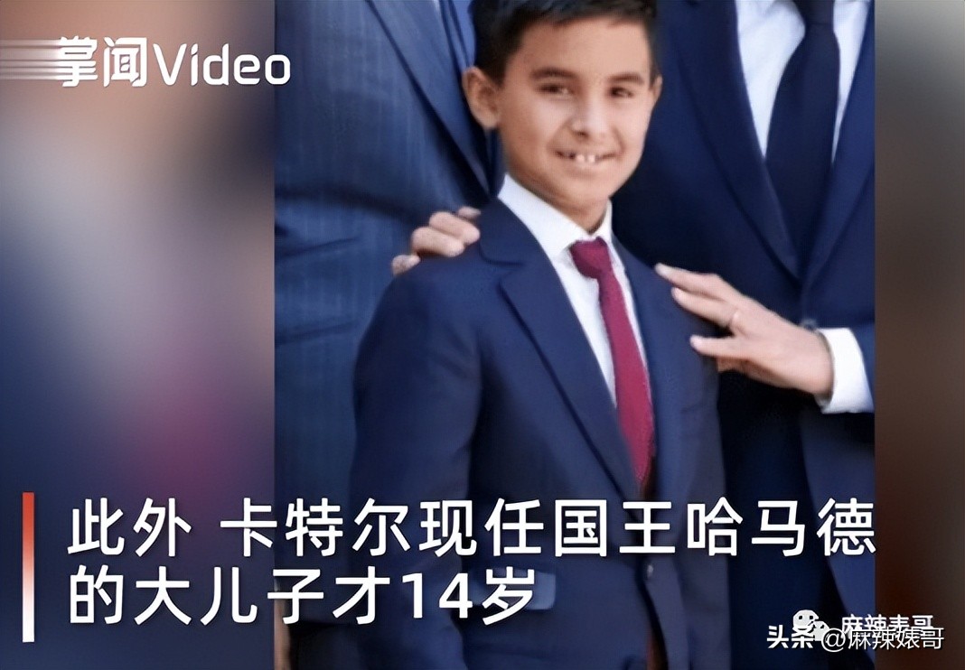 金晨模仿卡塔尔小王子晒照,金晨模仿卡塔尔王子被起诉了吗