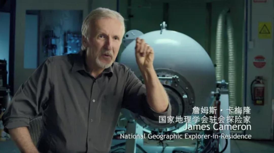 豆瓣排名第五摄人心魄的好片,豆瓣8.6分今年看过最良心的电影