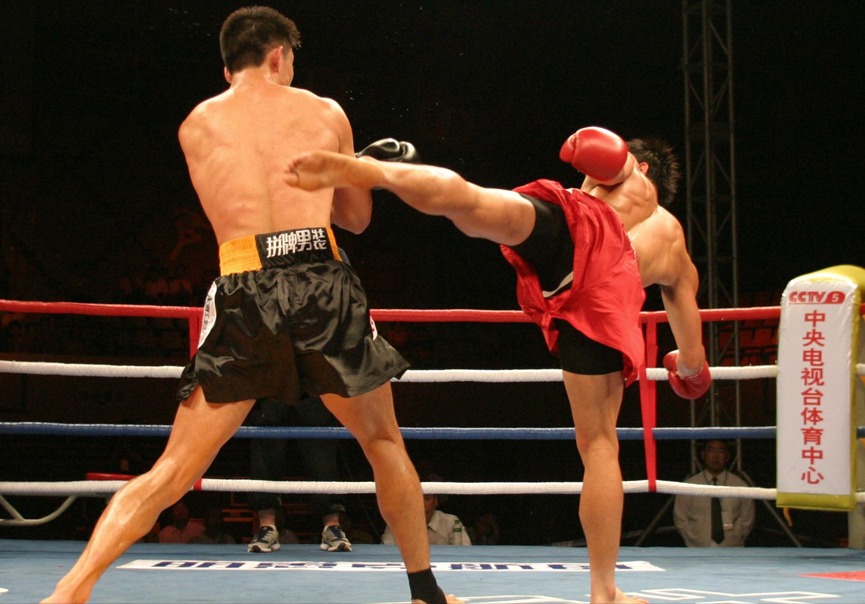 中国散打王ko日本,中国对日本散打ko集锦