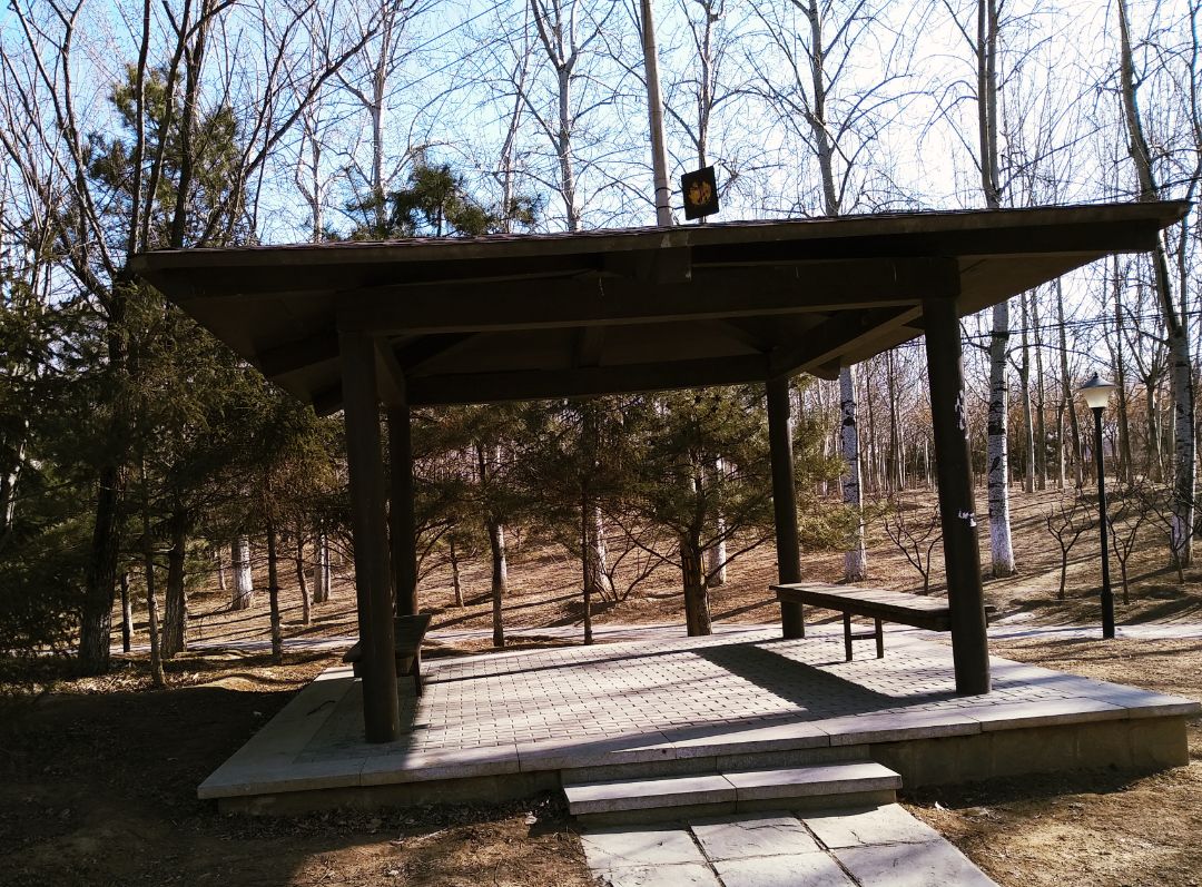 春日漫步随拍,春日漫步