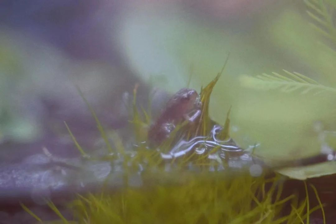 孩子经常提问我该怎么办,孩子问什么都不说怎么沟通