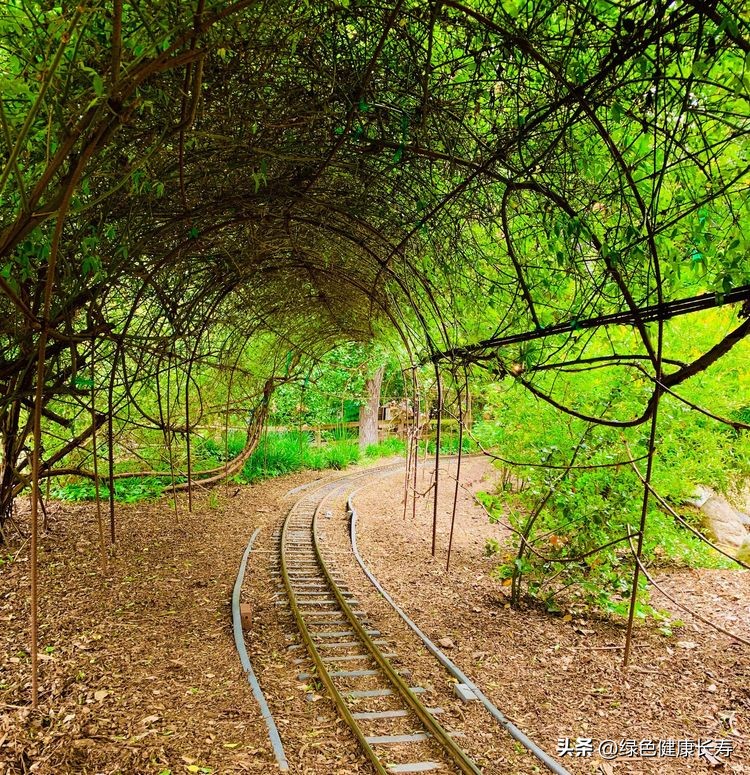 世界花园风景,世界花园