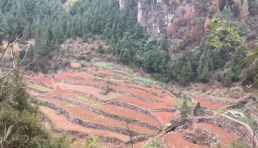 重庆天坑下的5户人家,重庆天坑底部住着5户人家