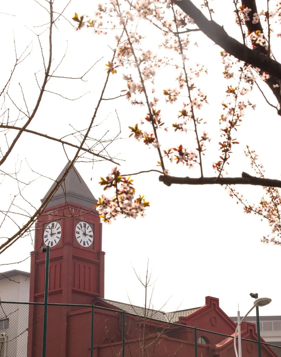 “我的梦想是超过同桌”华爱学校新学期，每个孩子都溢满七彩希望