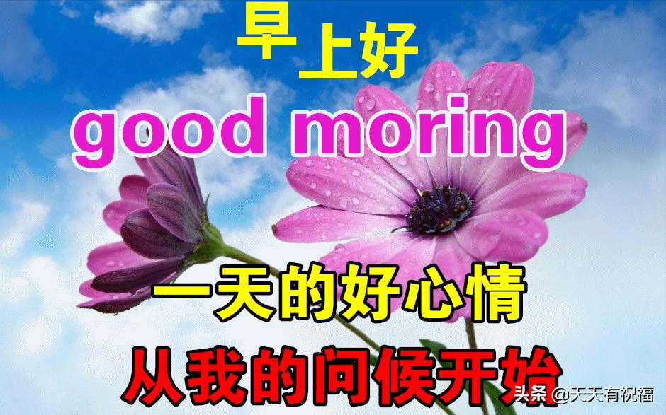 清凉淡雅的早晨好带字漂亮图片,早晨好图片大全温馨带字