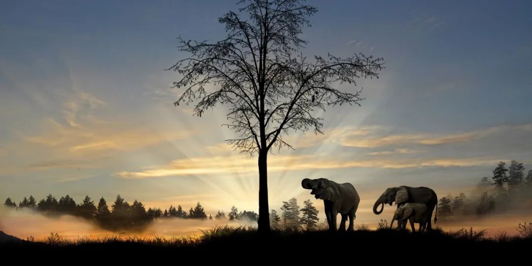南非旅游途中的酒庄分布图,去南非哪里玩