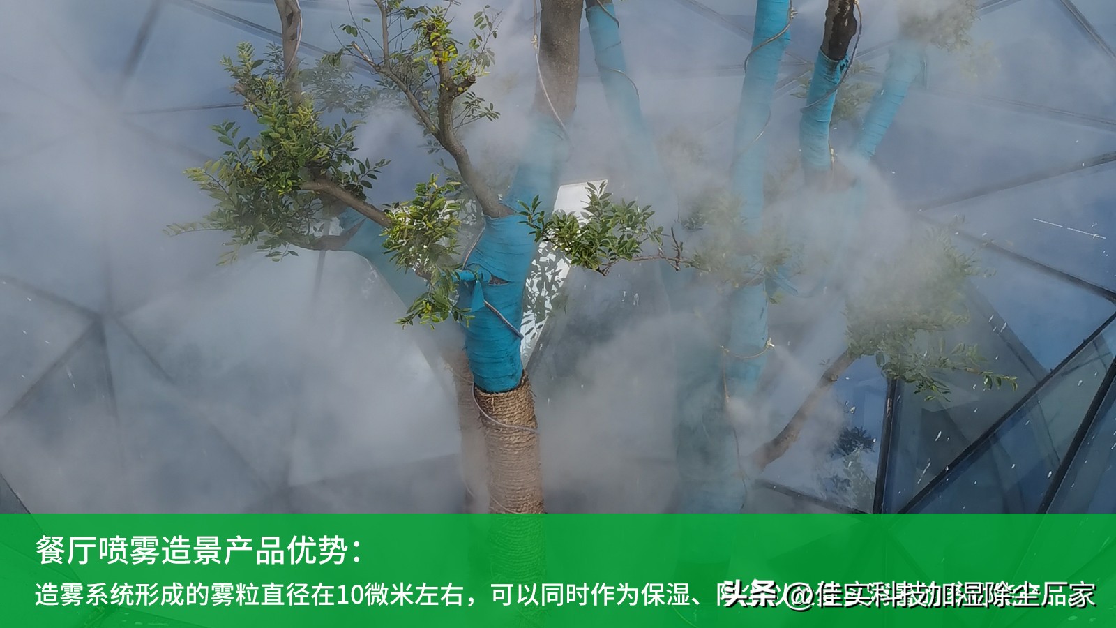 餐厅死角造景效果,生态餐厅景观效果图