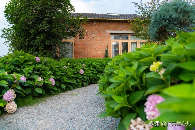 姐姐在县城买房,姐姐在市区买房了