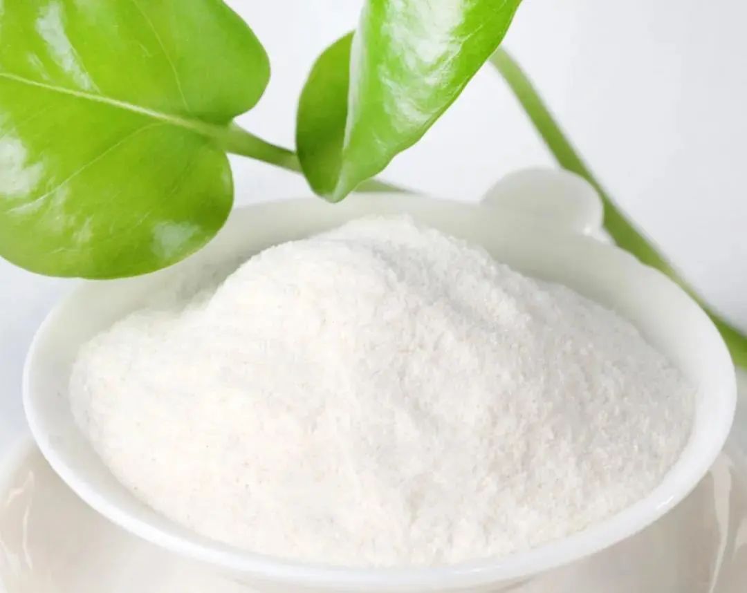 魔芋多糖的提取方法,花生粗蛋白的提取工艺