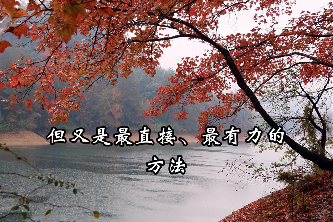 【法律知识】引导思想与行为