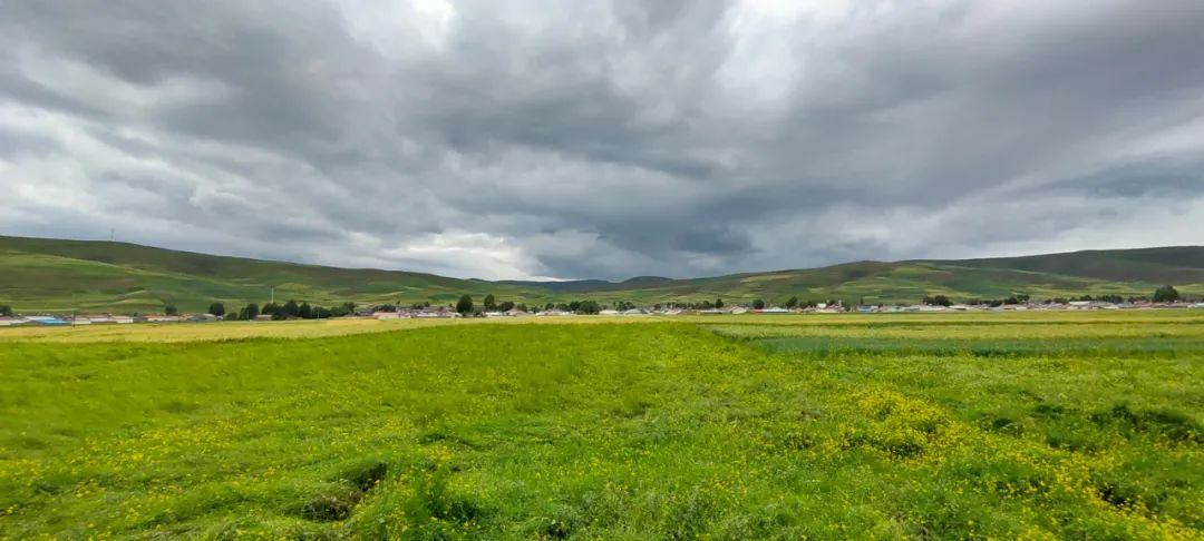 甘肃想吃美食去哪里旅游,甘肃啥地方