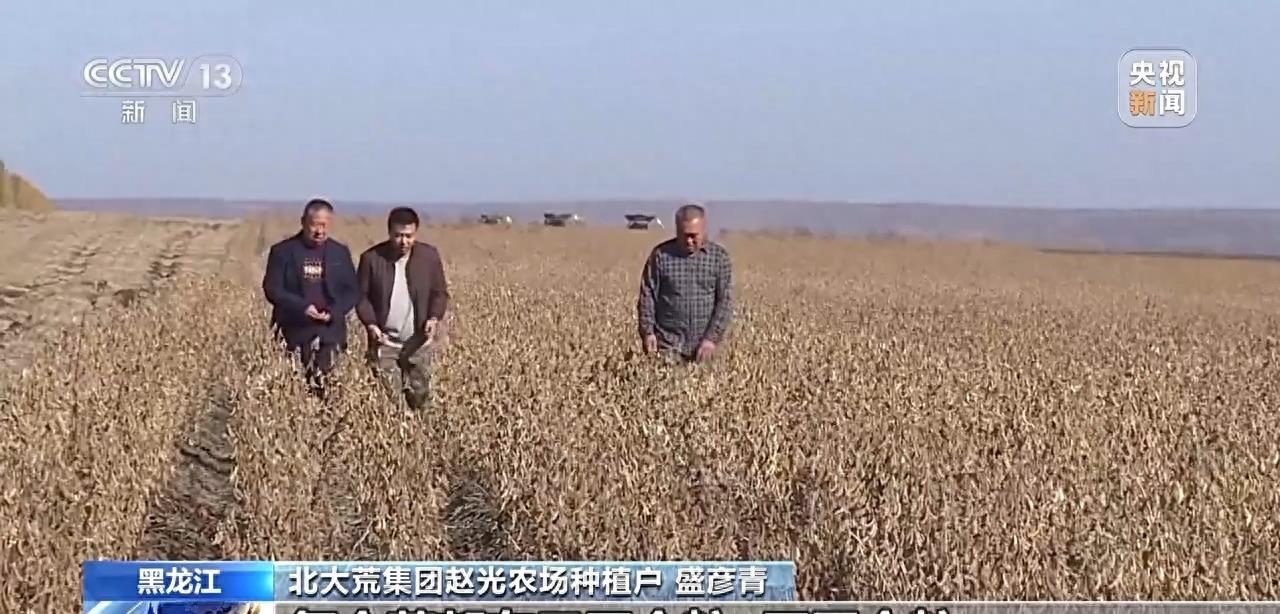 庄稼丰收但无人收割,庄稼丰收但无人收割来自什么俗话