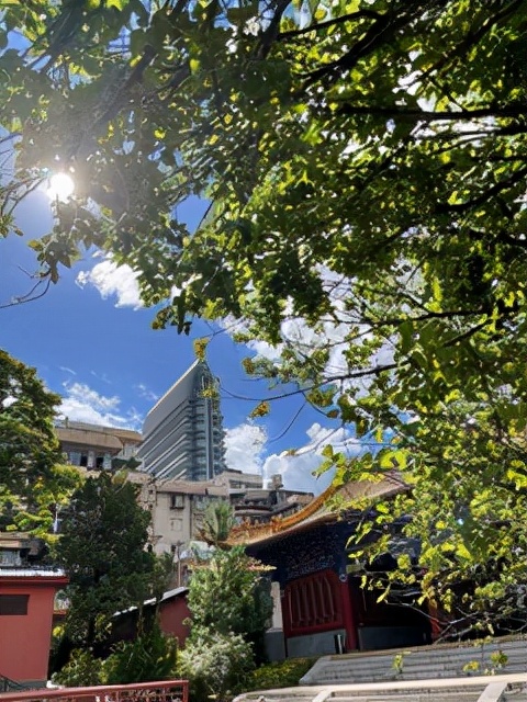 昆明一座让人流连忘返的城市,被低估的旅游城市昆明