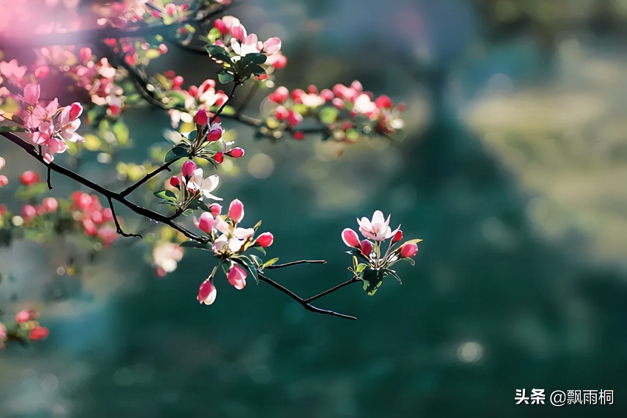 金庸天龙八部的解析,金庸天龙八部小说讲的什么