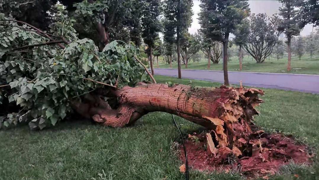 我国发现最大煤田,世界罕见的超大型煤田