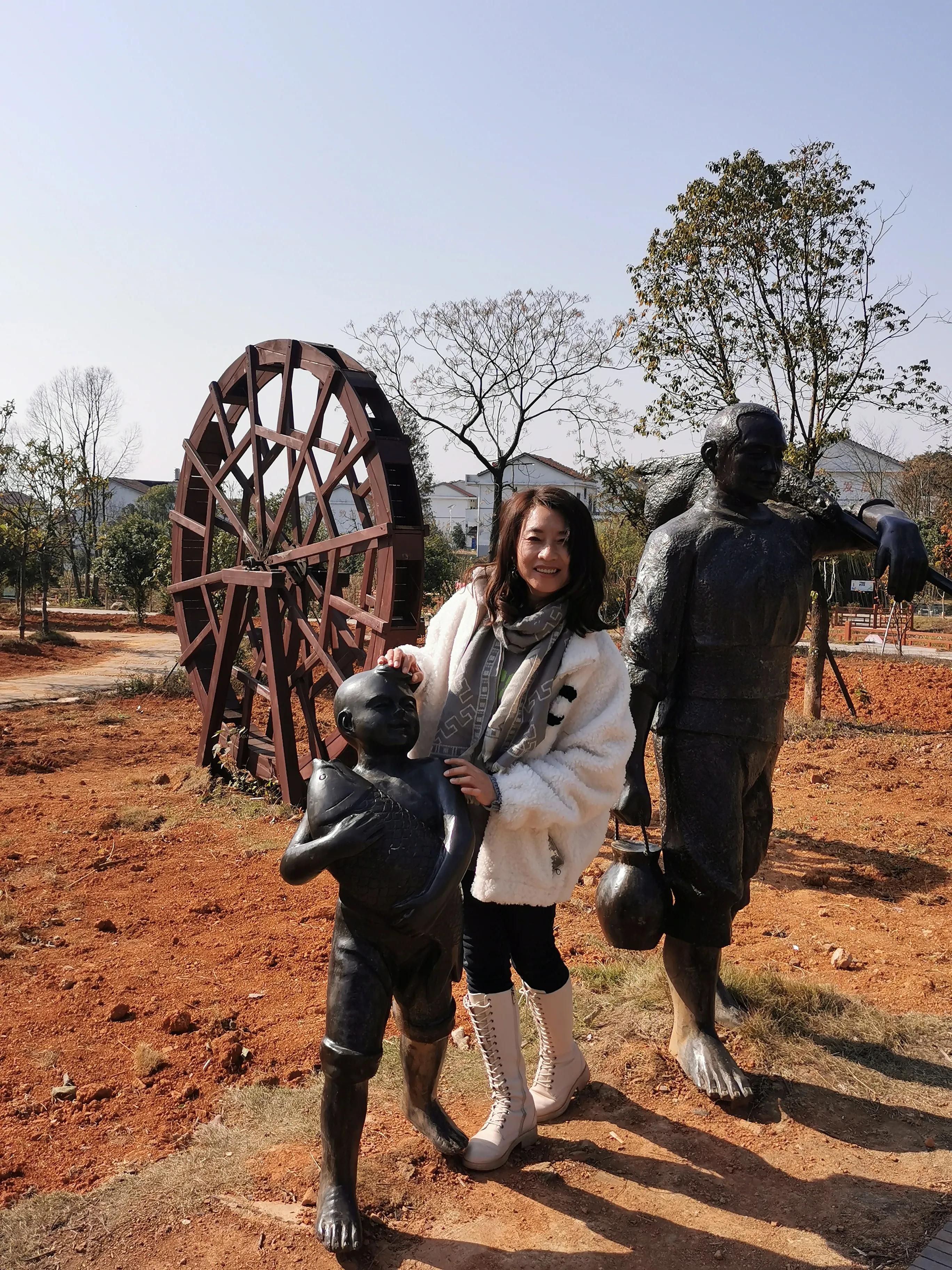 红杉林之恋,红杉林之恋完整版