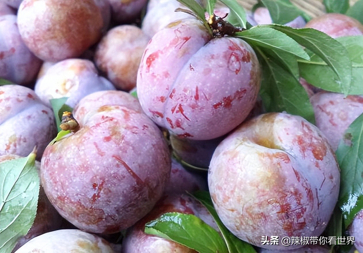 宁德大黄鱼之乡攻略,霞浦大黄鱼之乡图片