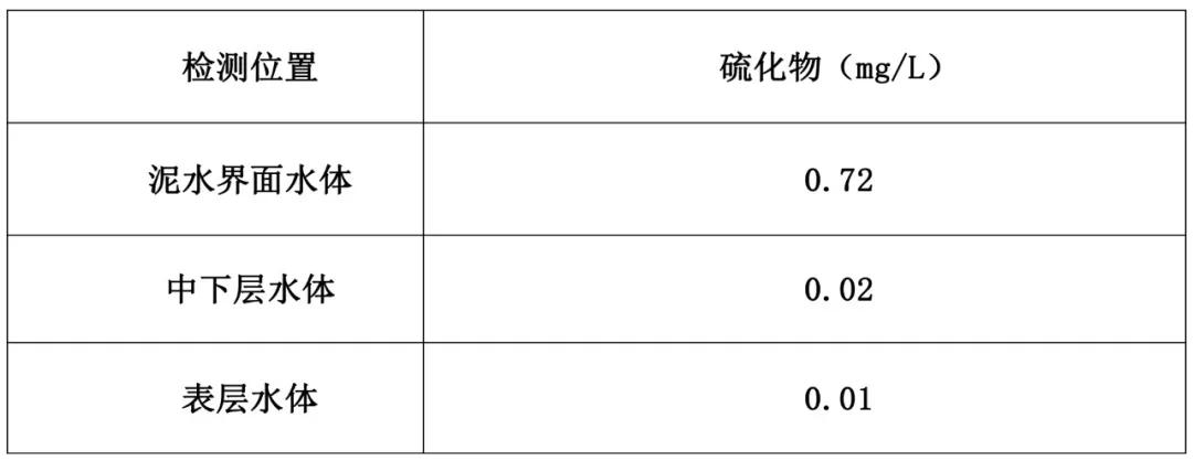 硫化氢泄漏时如何应急处理,硫化氢产生的原因及处理措施