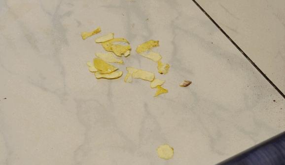 送丈母娘洗地机,送爸妈洗地机