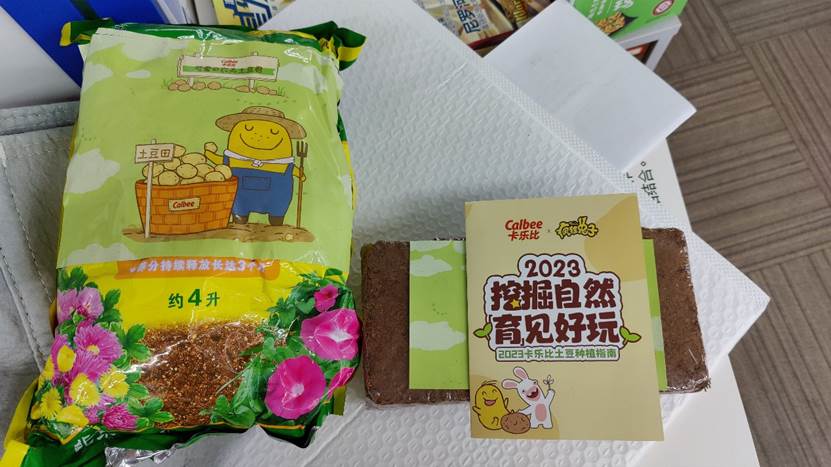 伊始之地,伊始之地游戏解说