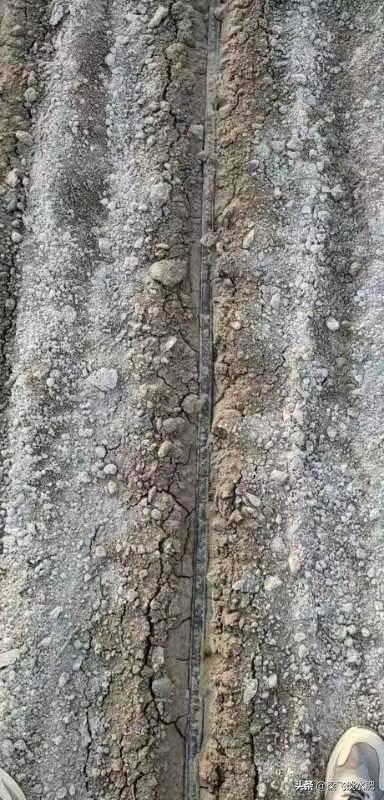 干播湿出的要求,干播湿出后要中耕几次