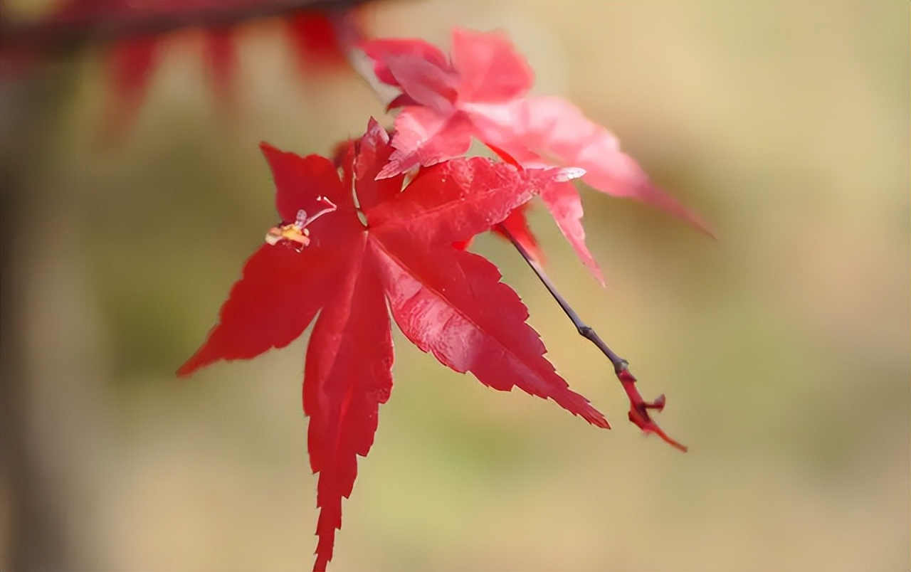 关于生活的10个真相，赶走你所有矫情