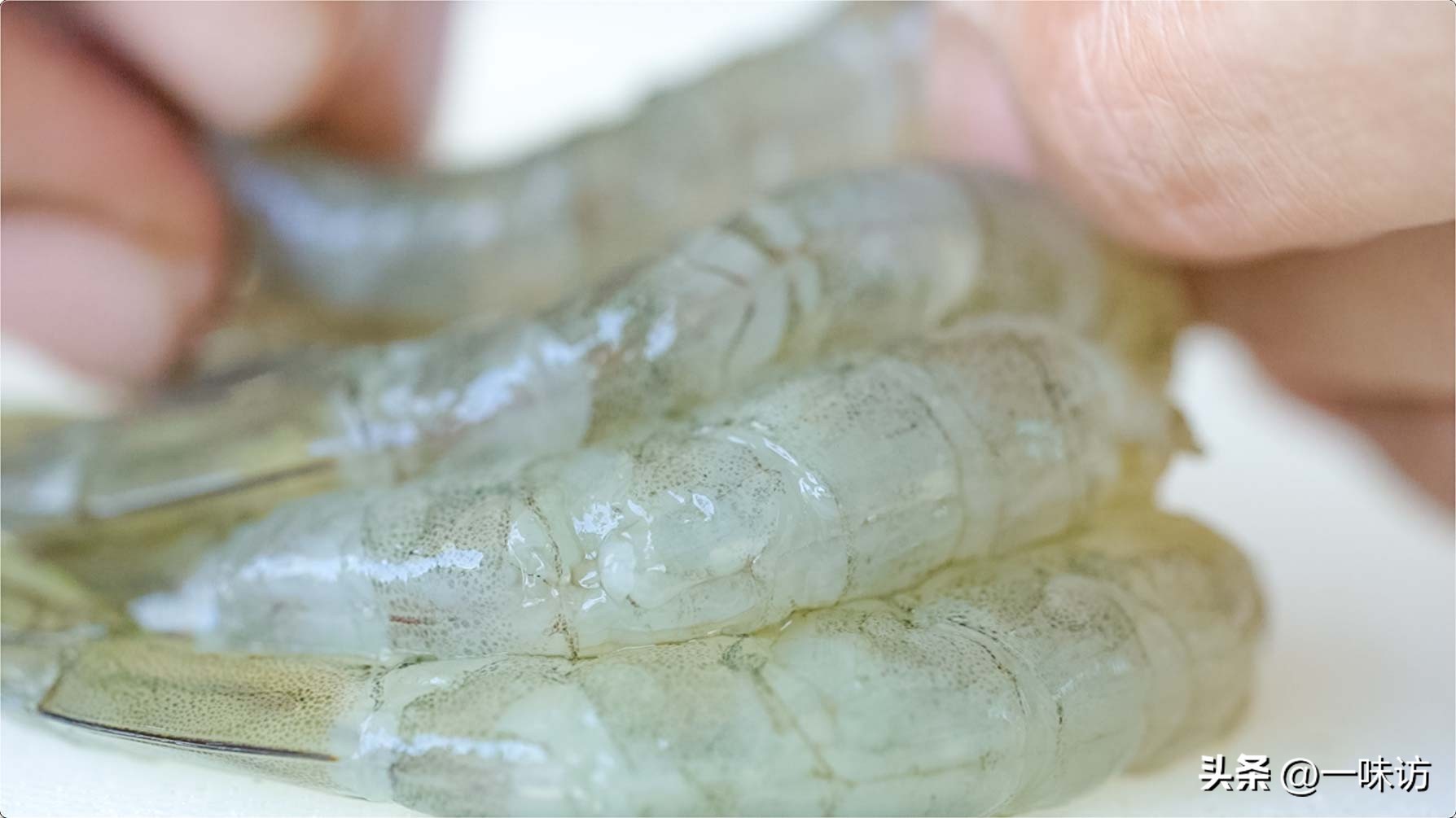 虾怎么炒又简单也好吃,虾怎么煮炒好吃又简单的做法