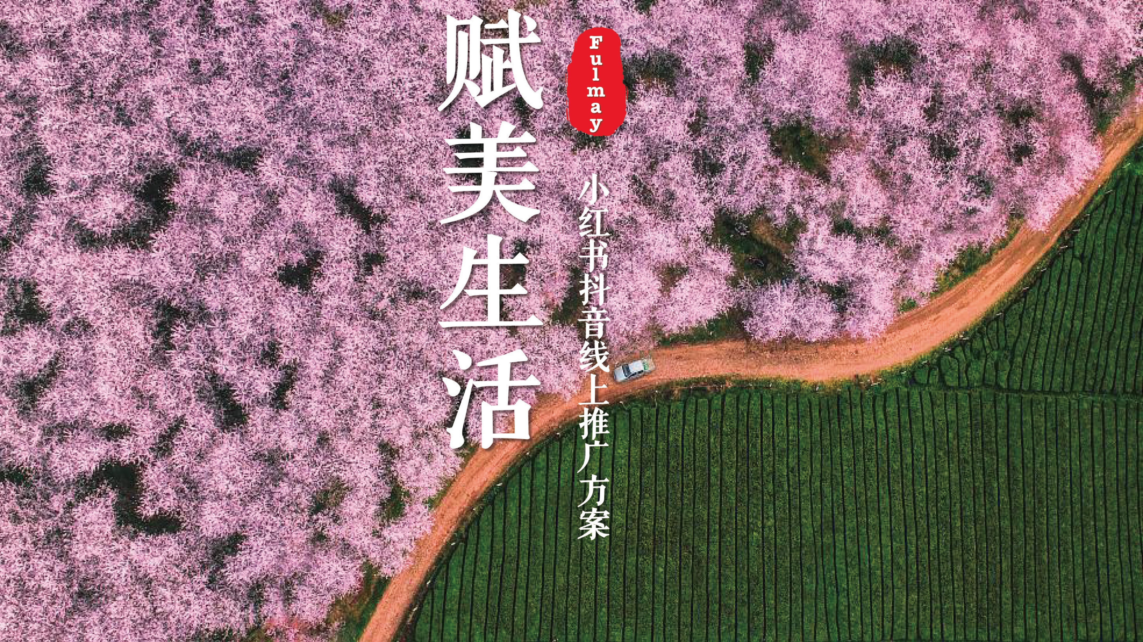 2023小红书平台营销投放趋势,2023小红书电商趋势报告