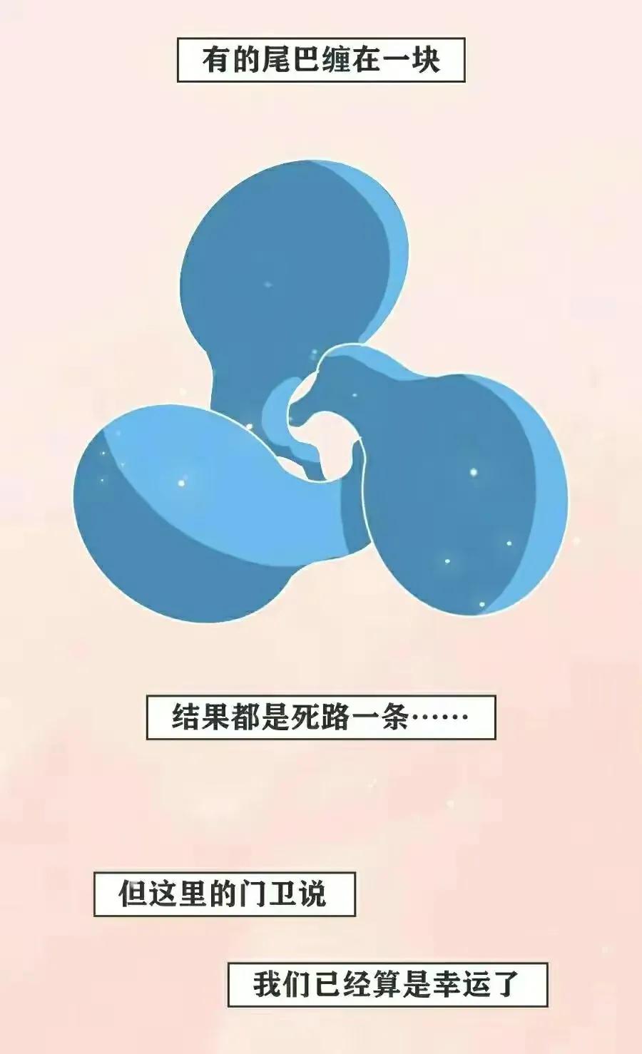 精子进入女生体内的全过程，真是一路坎坷又艰难