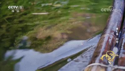 祖国壮美山河的诗词,跟着诗词去领略祖国的大好河山