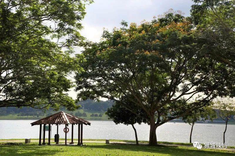 新加坡遛娃免费景点推荐一下,新加坡周末遛娃