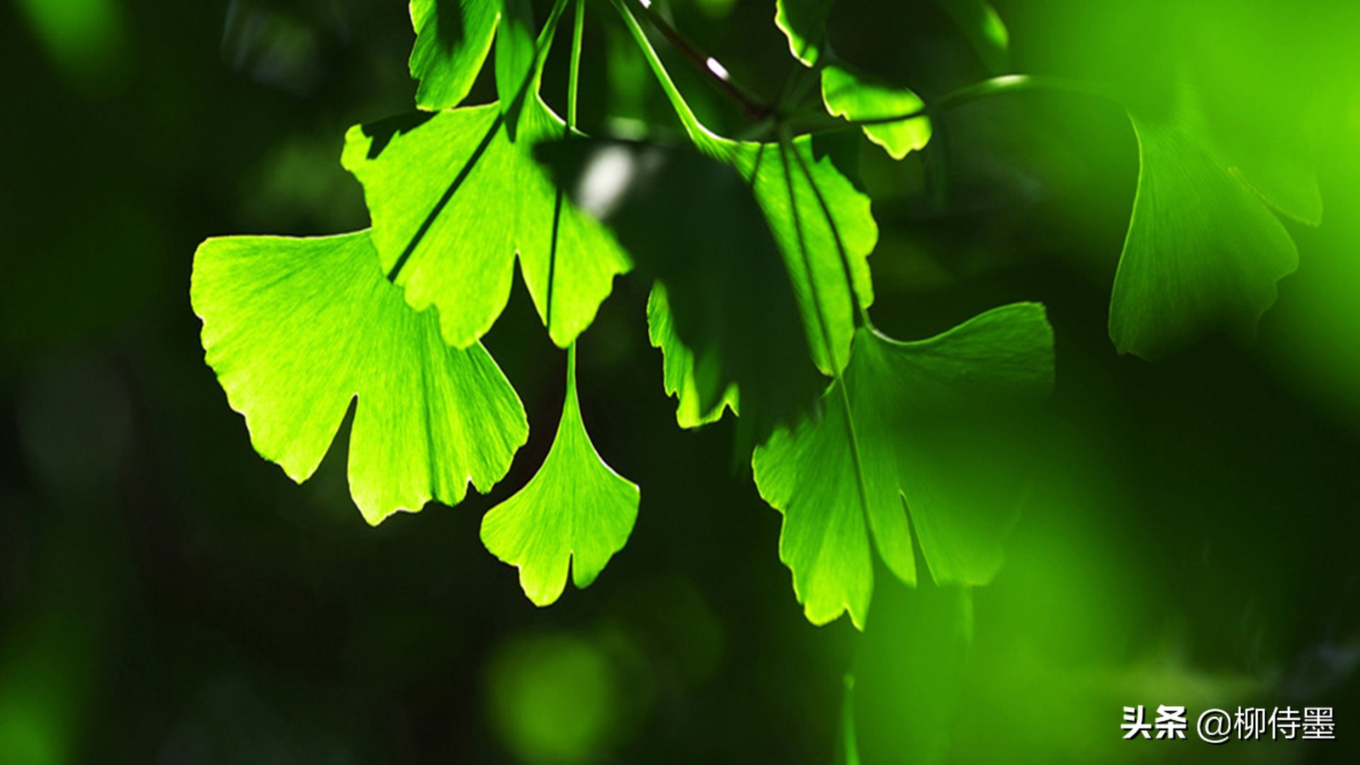 拍照不好看只要学会这些小技巧,摄影大师教你拍照技巧