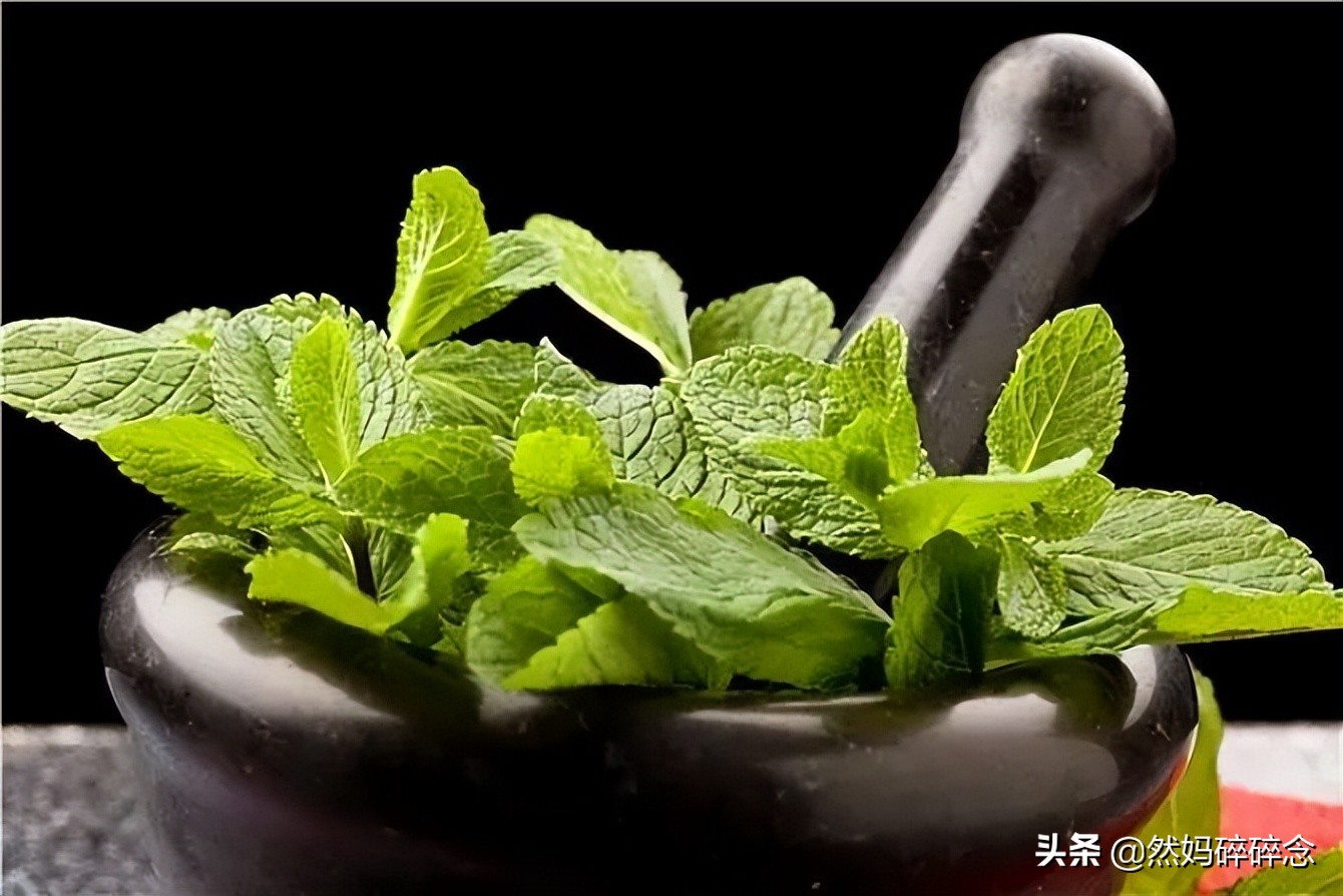 自制薄荷膏让你清凉一夏,自制艾叶薄荷膏