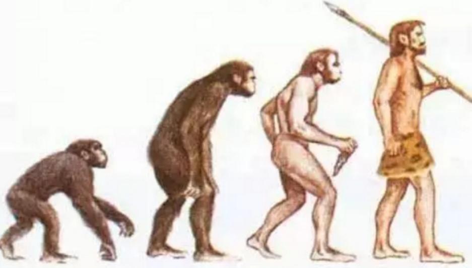 华夏子孙3大特殊印记,华夏儿女的特殊印记