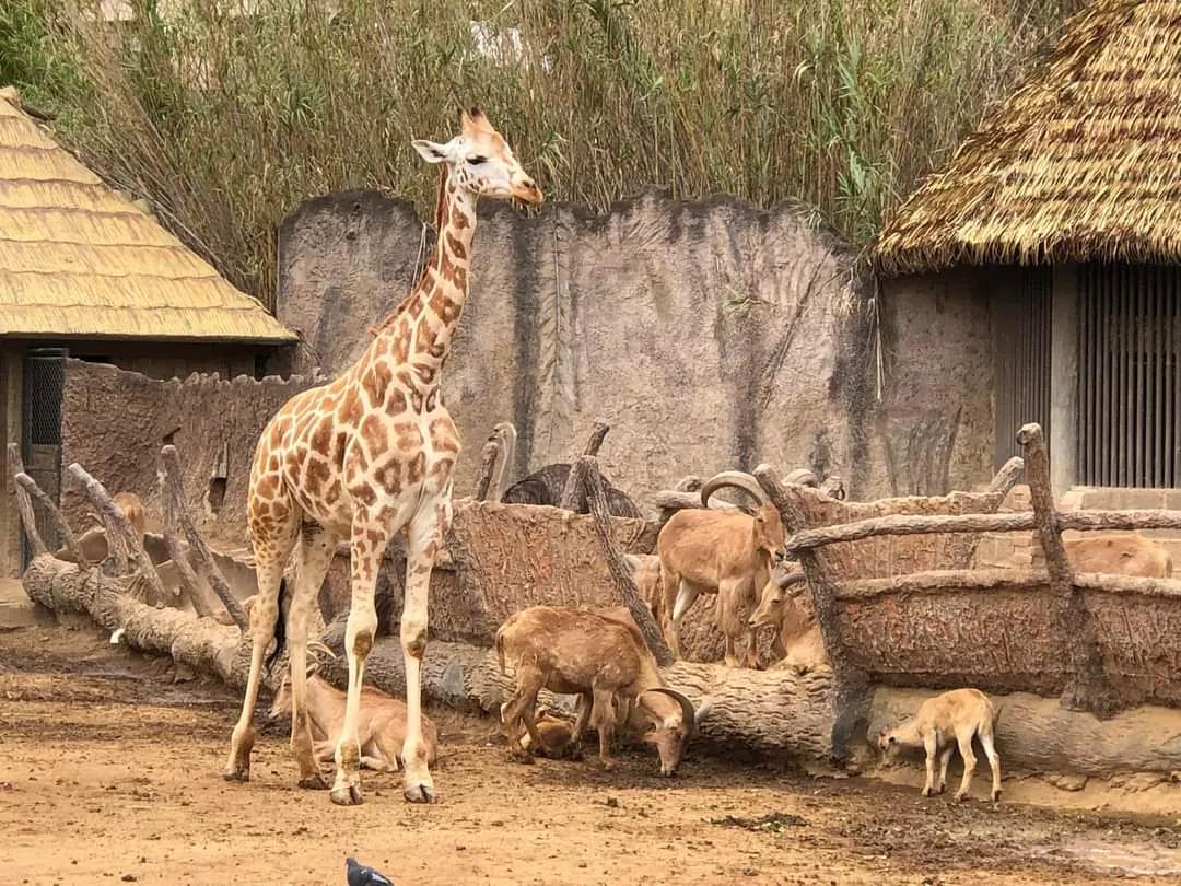 危地马拉的著名风景,危地马拉的首都游玩