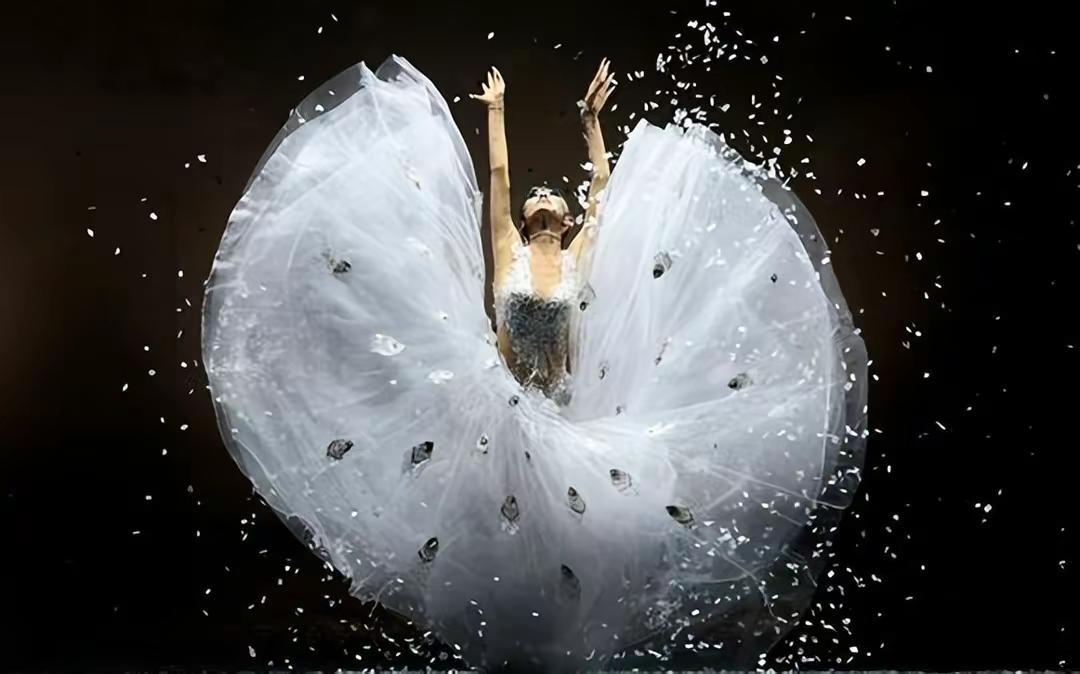 杨丽萍孔雀舞备受争议,杨丽萍舞蹈争议