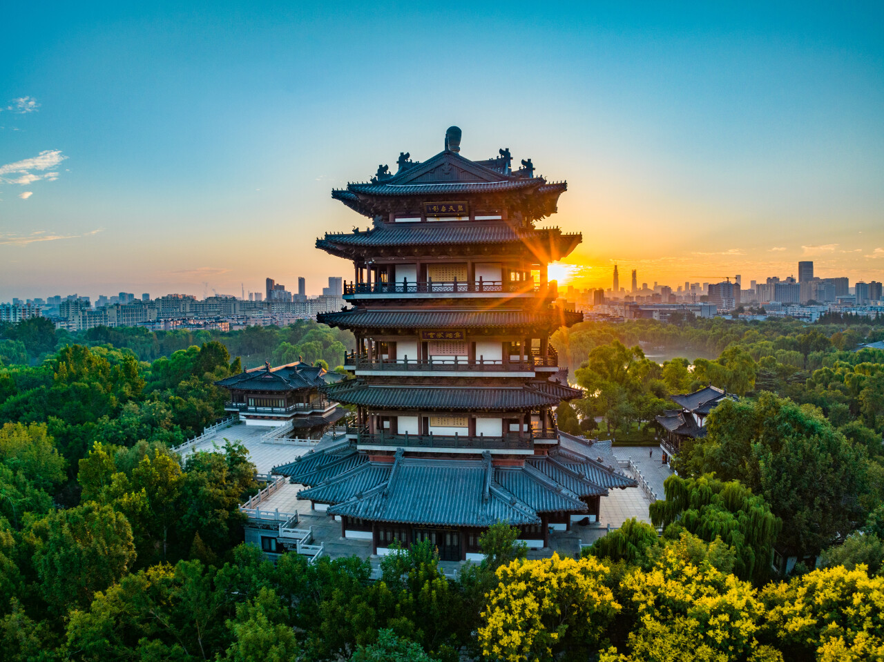 入秋济南好去处,济南秋季看花打卡地